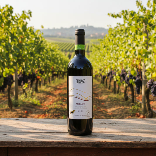 Vino Rosso Merlot IGT